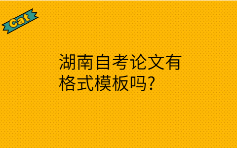 湖南自考論文